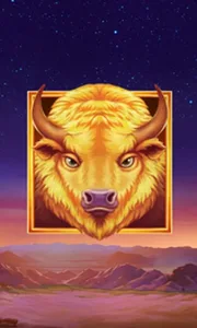 Buffalo's Sun 2